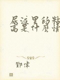 尿液里的粘液丝高是什么情况