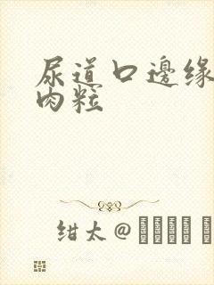 尿道口边缘长小肉粒