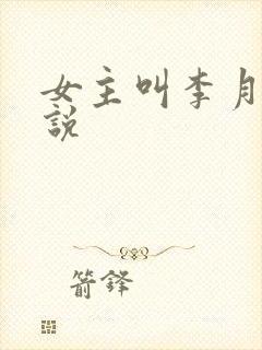 女主叫李月的小说