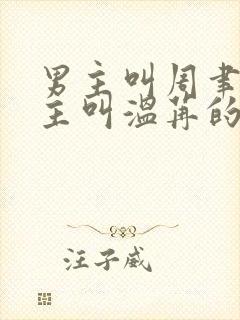 男主叫周聿珩女主叫温苒的小说