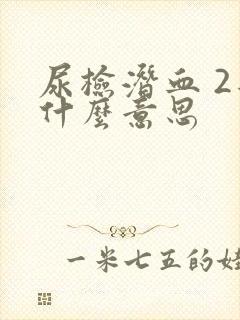 尿检潜血 2是什么意思