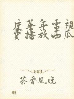 度华年电视剧免费播放西瓜网