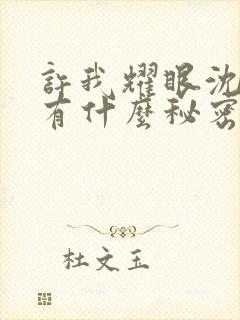 许我耀眼沈浩明有什么秘密