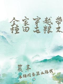 全家穿越带空间种田屯粮又逃荒