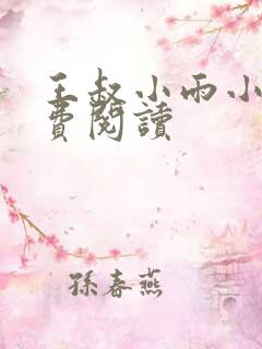 王叔小雨小说免费阅读