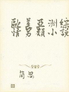 欧美亚洲综合激情另类小说