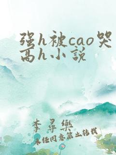 强h被cao哭高h小说