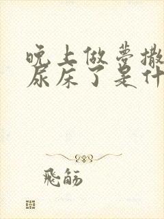 晚上做梦撒尿就尿床了是什么原因