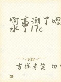 啊高潮了嗯～喷水了17c