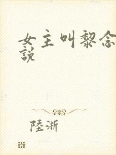 女主叫黎念的小说