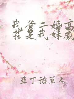 我爸二婚高冷校花是我妹剧