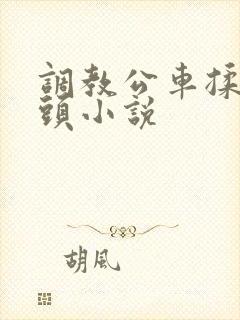 调教公车揉捏奶头小说