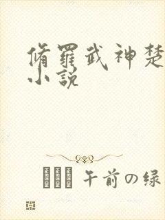 修罗武神楚枫 小说