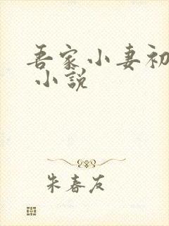 吾家小妻初养成 小说