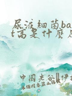 尿液细菌bact高是什么原因