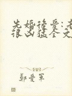 先婚后爱:老公很凶猛全文免费阅读