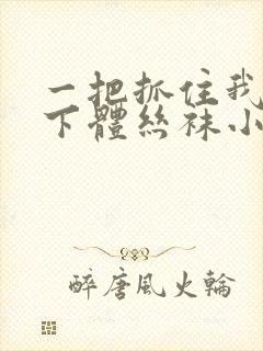 一把抓住我他的下体丝袜小说