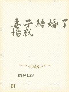 妻子结婚了有几场戏