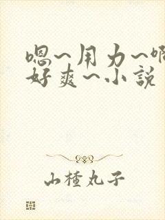 嗯~用力~啊~好爽~小说