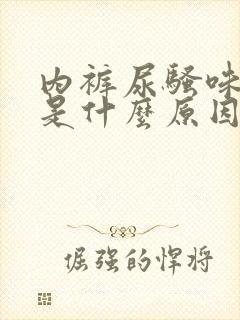 内裤尿骚味很重是什么原因