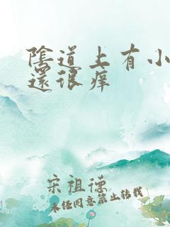 阴道上有小水泡还很痒