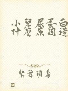 小儿尿蛋白高是什么原因造成的怎么治疗