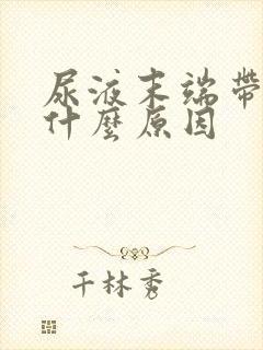 尿液末端带血是什么原因