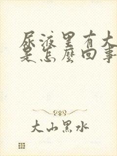 尿液里有大泡沫是怎么回事