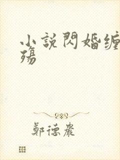 小说闪婚缠情成殇