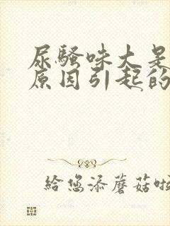 尿骚味大是什么原因引起的