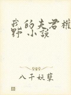 我的夫君权倾朝野 小说