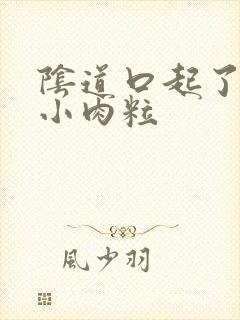 阴道口起了好多小肉粒