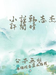 小说韩志杰陆雪许兰晴