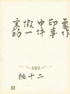 寒假中印象最深的一件事作文300字