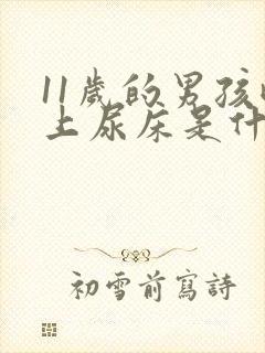 11岁的男孩晚上尿床是什么原因