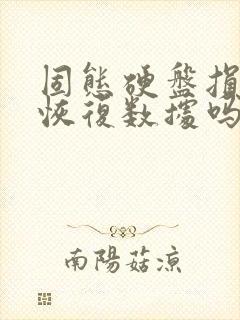 固态硬盘损坏可恢复数据吗