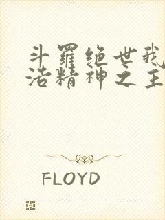 斗罗绝世我霍雨浩精神之主小说