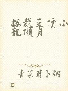 总裁天价小娇妻龙倾月