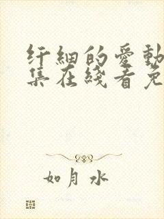 纤细的爱动漫全集在线看免费双男主