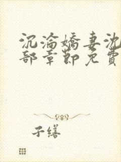 沉沦娇妻沈丹全部章节免费阅读