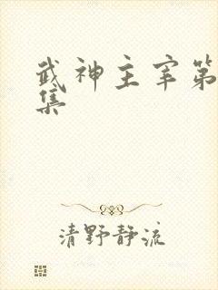 武神主宰第13集