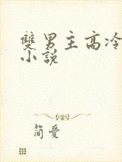 双男主高冷受的小说