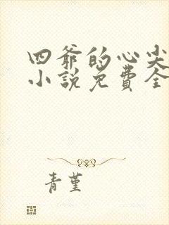 四爷的心尖宠妃小说免费全文阅读