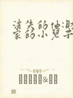 消失的他:财阀家的小儿子短剧