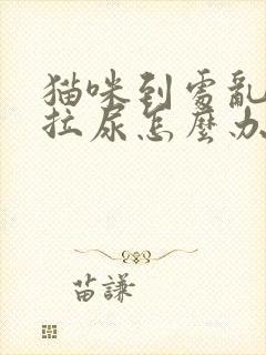 猫咪到处乱拉屎拉尿怎么办