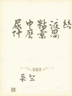 尿中粘液丝高是什么意思