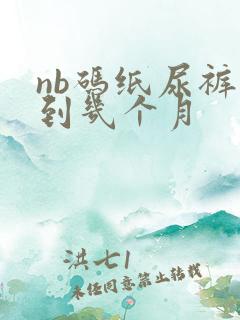 nb码纸尿裤穿到几个月