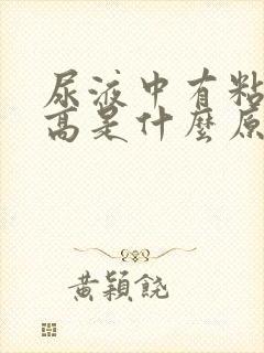 尿液中有粘液丝高是什么原因