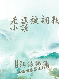 老婆被调教长篇小说