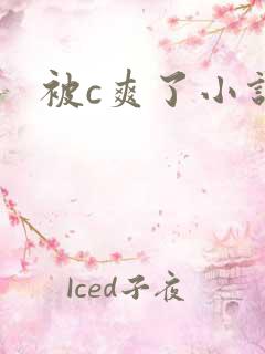 被c爽了小说